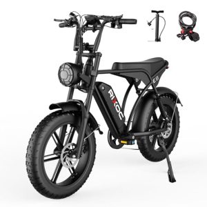 E8 Electric Bike for Adults, 750W Motor 30+MPH 48V 15.6Ah Removable Battery