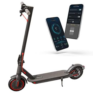 VOLPAM SP06 Electric Scooter, 350W Motor, 19 MPH, 19 Miles Range,Portable Foldable commuters