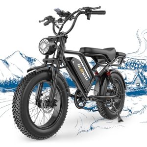 750w Fat Tire Electric Dirt Bike, 48V 15.6AH Removable Battery, 31MPH, 40-70 Miles Range, 2 Seater LEDs