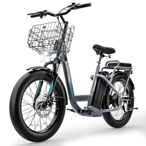 Caroma Peak 20" Fat Tire 36V Electric Scooter with Removable Battery