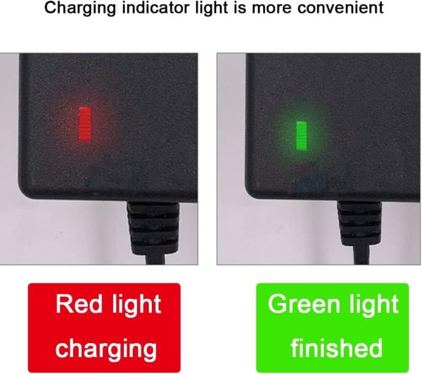 48V Battery Charger for Caroma Electric Scooters